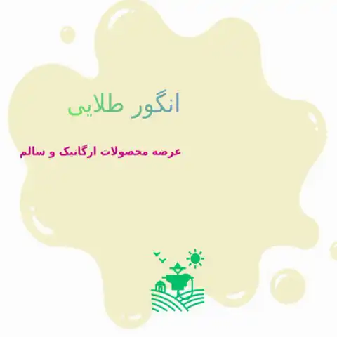 Shop Profile