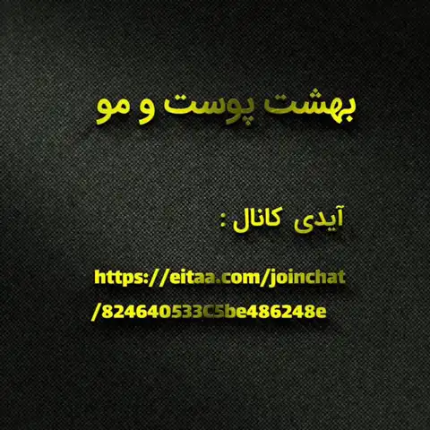 Shop Profile