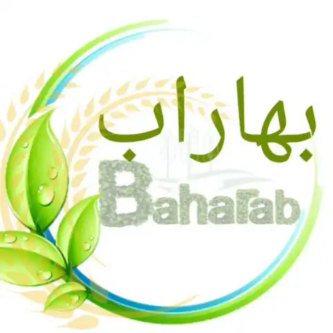 Shop Profile