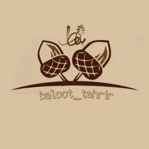 Shop Profile