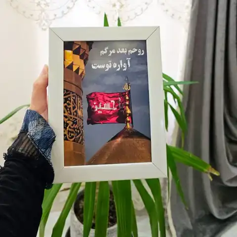 Shop Profile