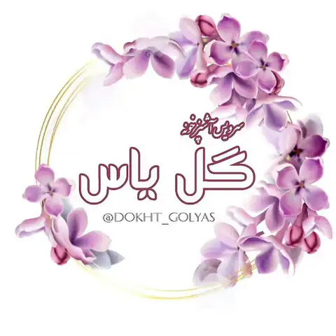 Shop Profile