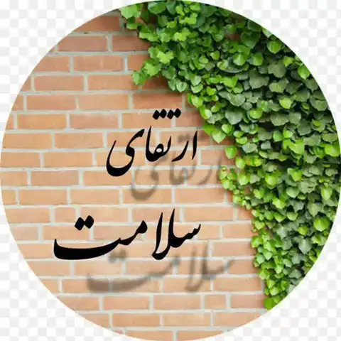 Shop Profile