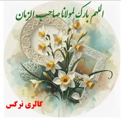 Shop Profile