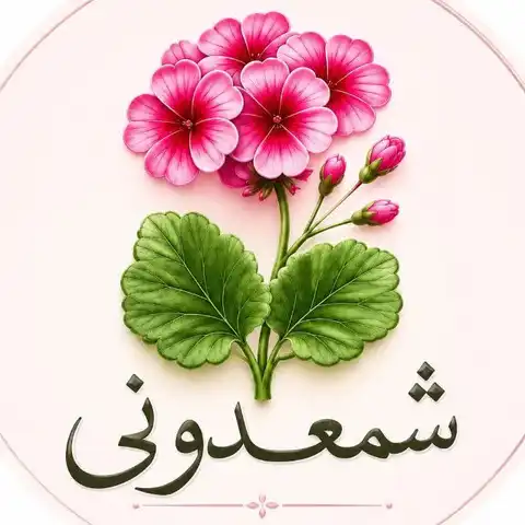 Shop Profile