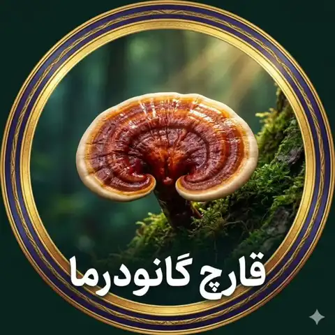 Shop Profile