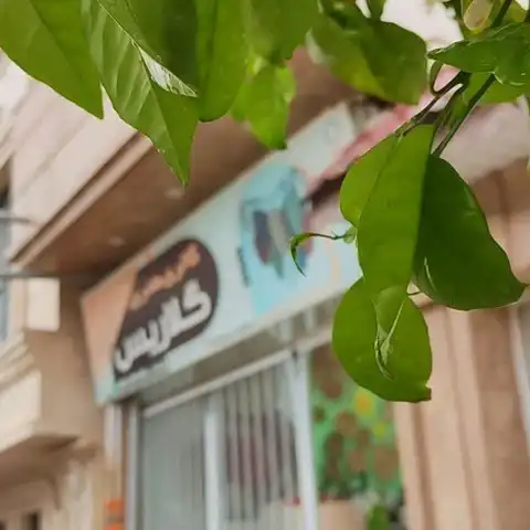 Shop Profile