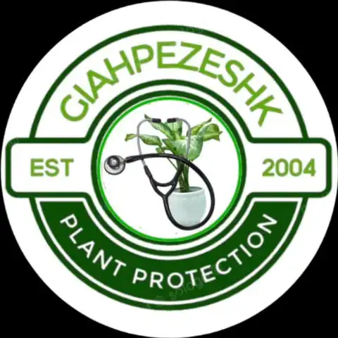 Shop Profile