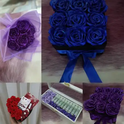 Shop Profile