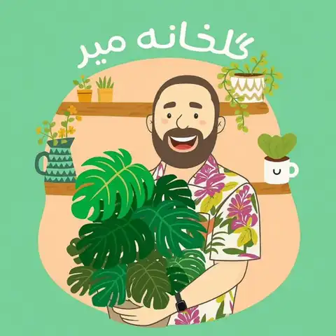 Shop Profile