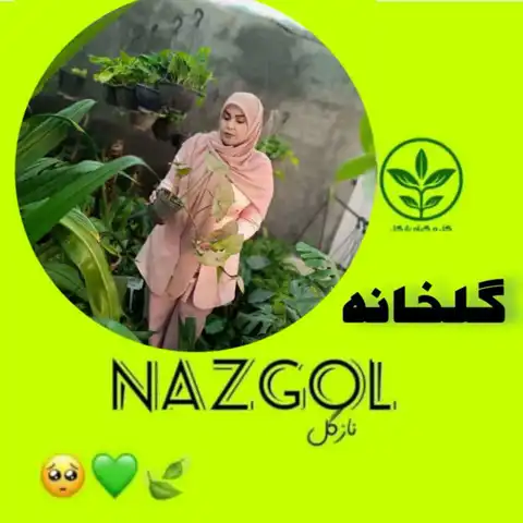 Shop Profile