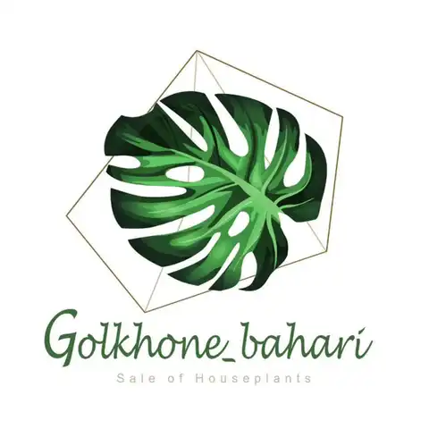 Shop Profile