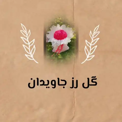 Shop Profile