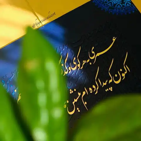 Shop Profile