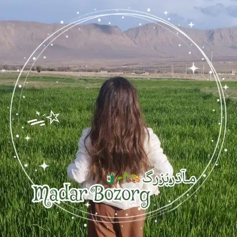 Shop Profile