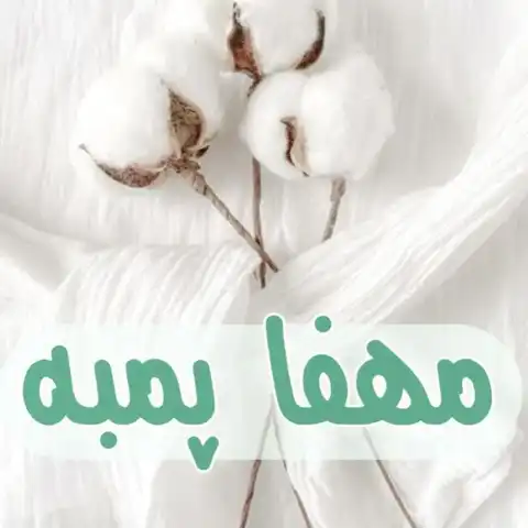 Shop Profile