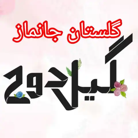 Shop Profile