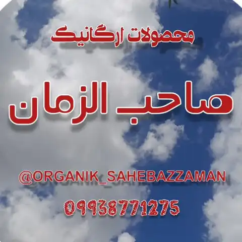 Shop Profile