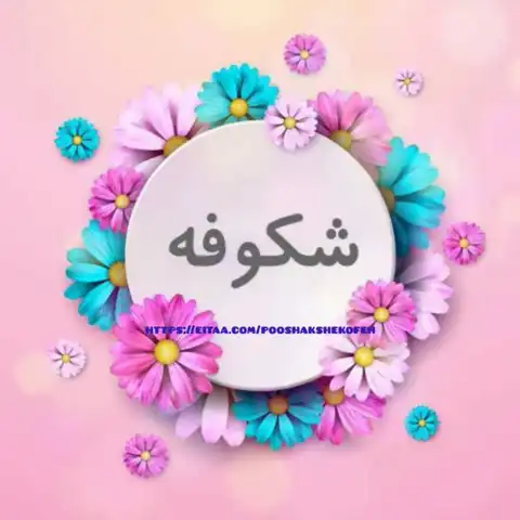 Shop Profile