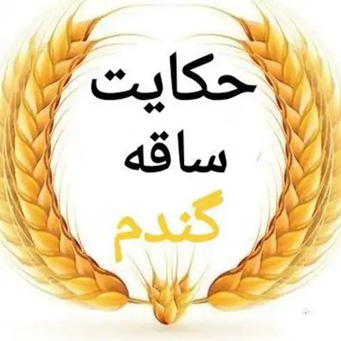 Shop Profile
