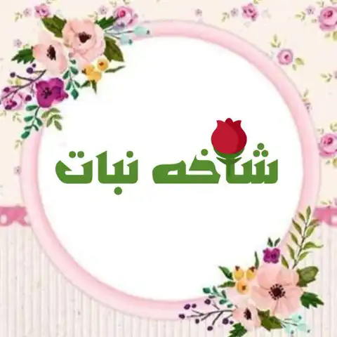 Shop Profile