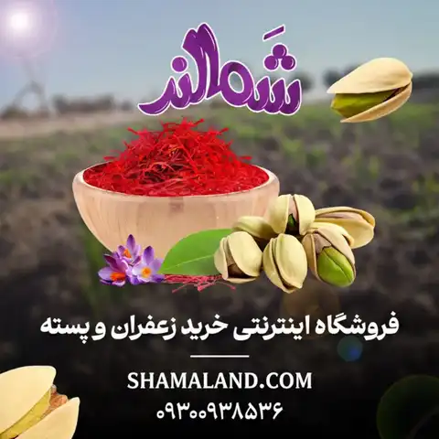 Shop Profile