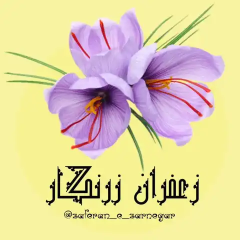 Shop Profile
