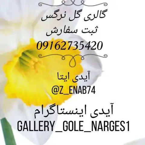 Shop Profile